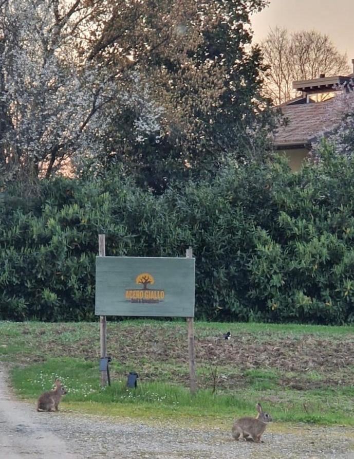 Acero Giallo Parma Eksteriør bilde